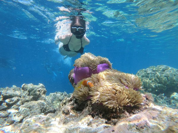 Astuces d'entretien pour le masque de snorkeling